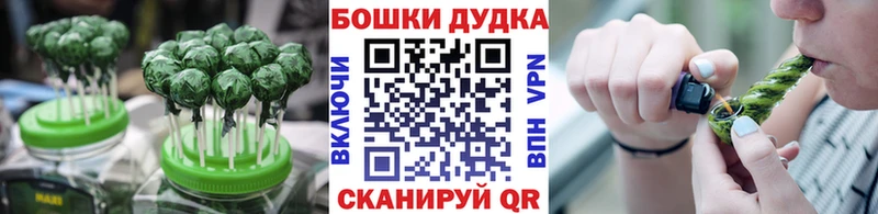Canna-Cookies марихуана  Новоалександровск 