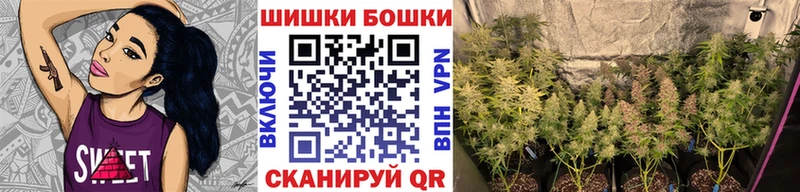 OMG как войти  Новоалександровск  Бошки марихуана ГИДРОПОН 